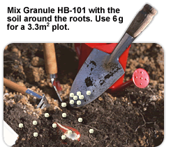Mix Granule HB-101 with the soil around the roots. Use 6 g for a 3.3m2 plot.
